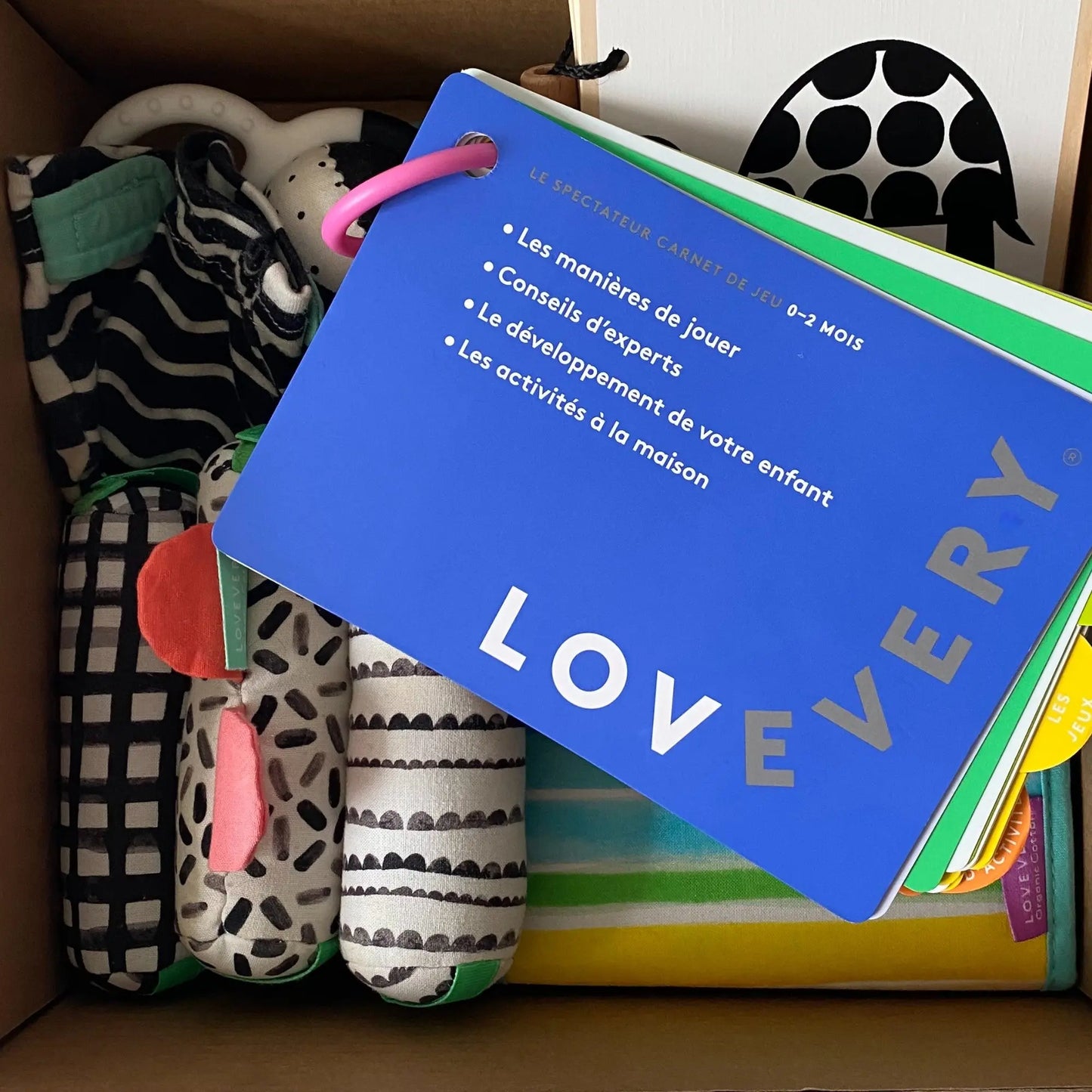 Kit de Jeu complet Lovevery - Le spectateur (0-2 mois) Keedy : Jeux de Qualité Reconditionnés