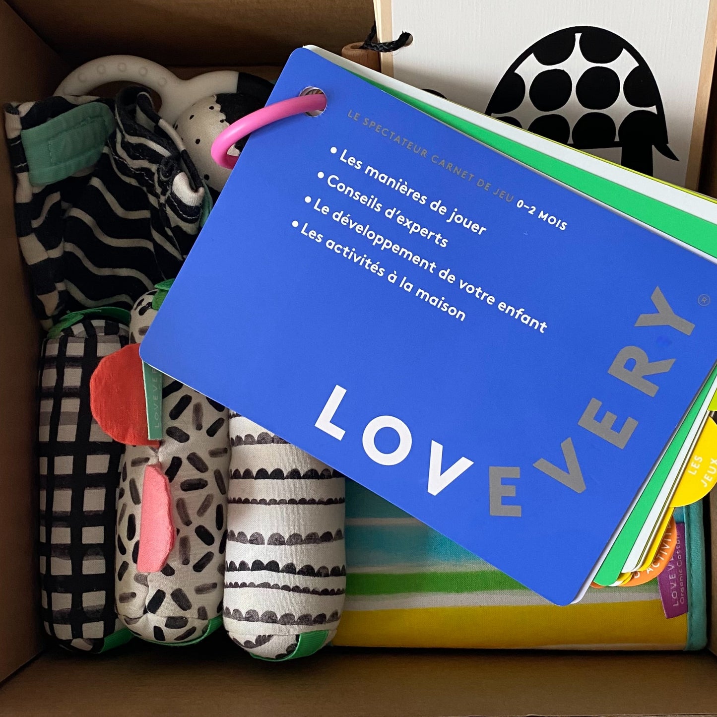 Kit de Jeu complet Lovevery - Le spectateur (0-2 mois)