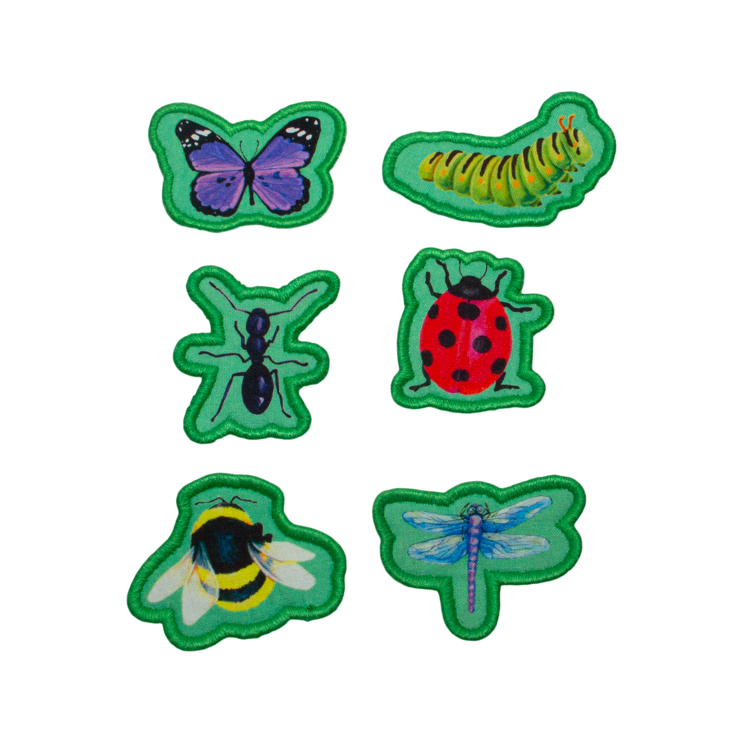 Arbuste aux insectes tout doux